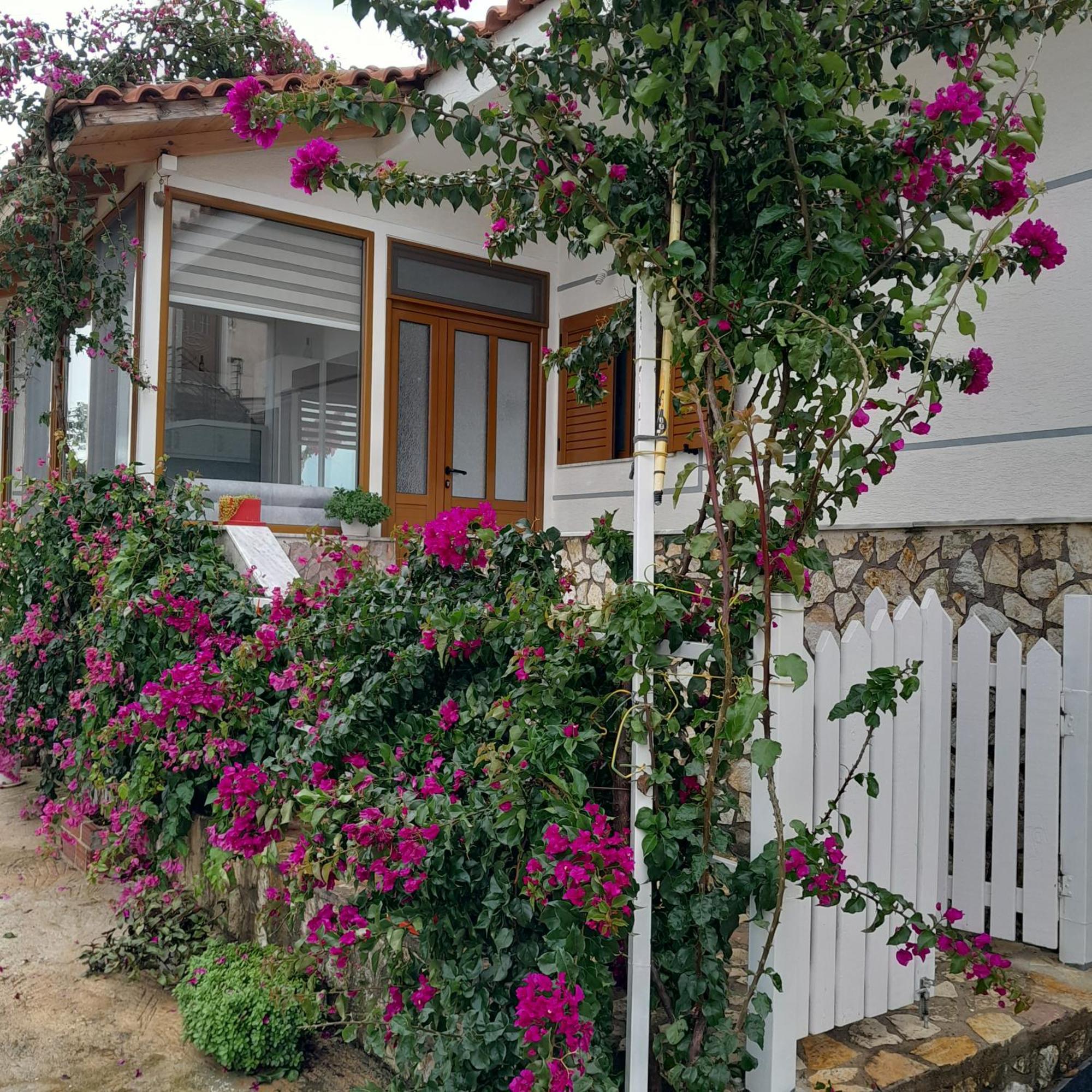 סרנדה Luxury Dennis Home מראה חיצוני תמונה