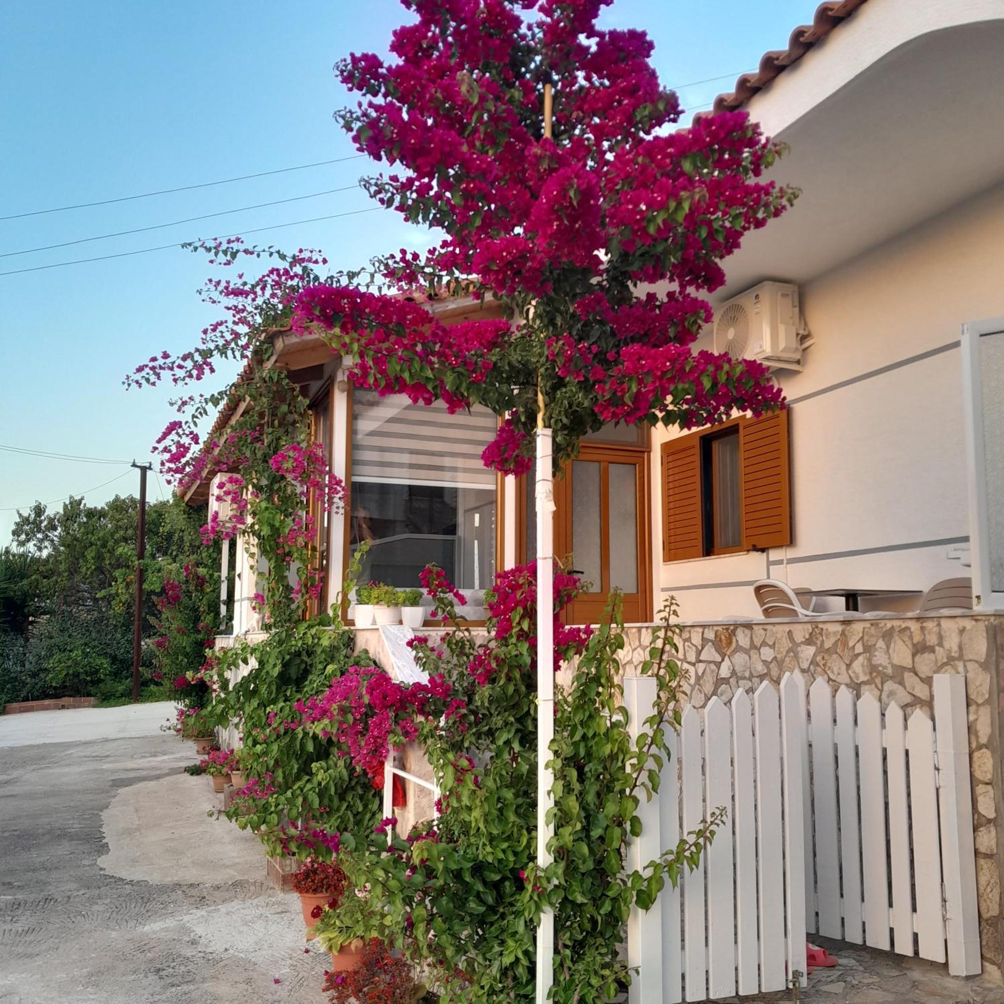 סרנדה Luxury Dennis Home מראה חיצוני תמונה